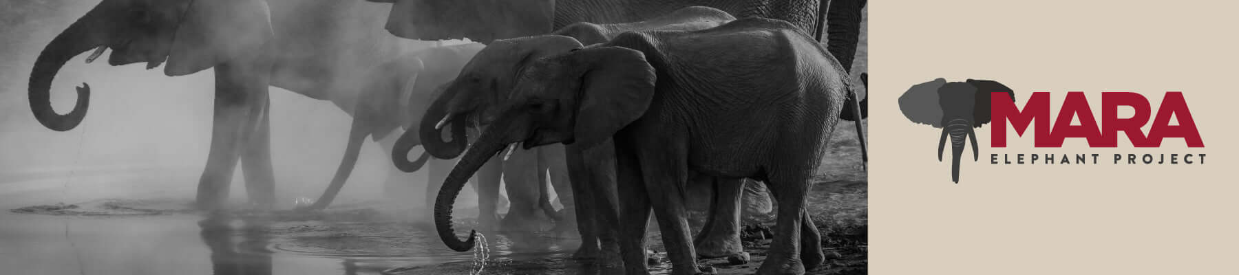 Mara Elephant Project